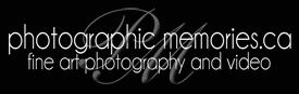 photos at the old mill toronto